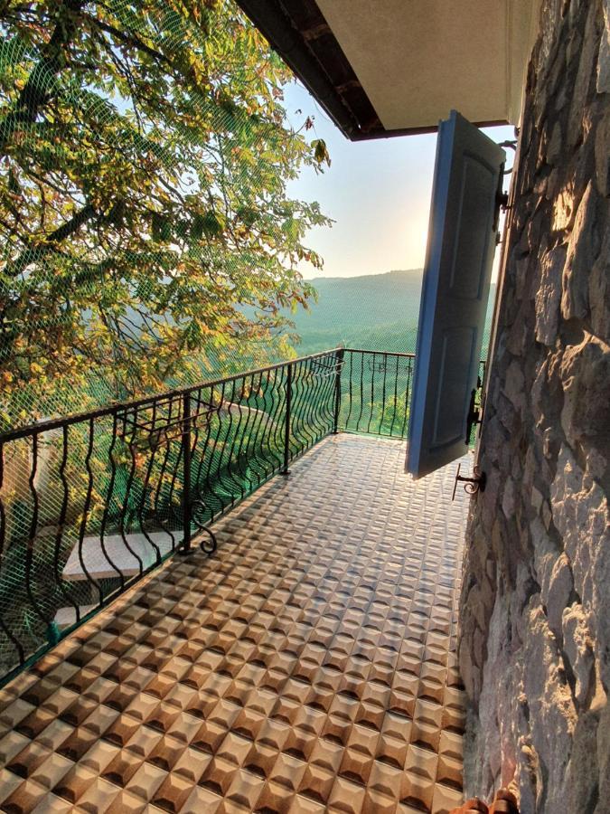 Casa Prodan Apartment Buzet Bagian luar foto